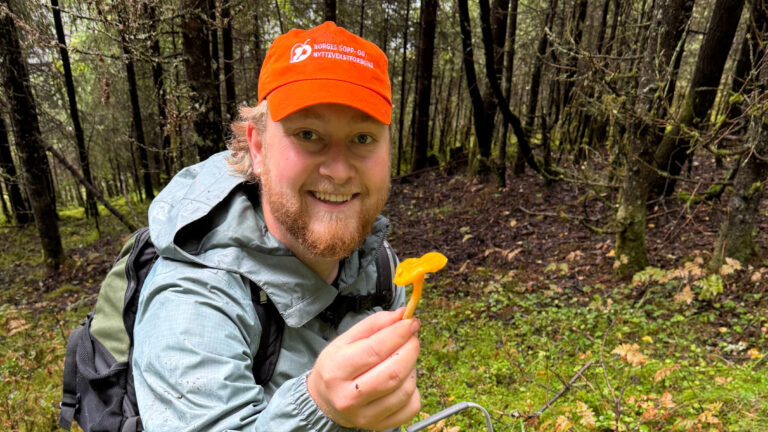 mann med oransje caps holder frem en kantarell.